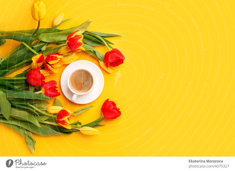 Beautiful spring breakfast on Mothers or Womans International day 8 march. Bouquet of red yellow tulips and coffee cup on bright yellow table top view. Flat lay, banner for site, seasonal flyer