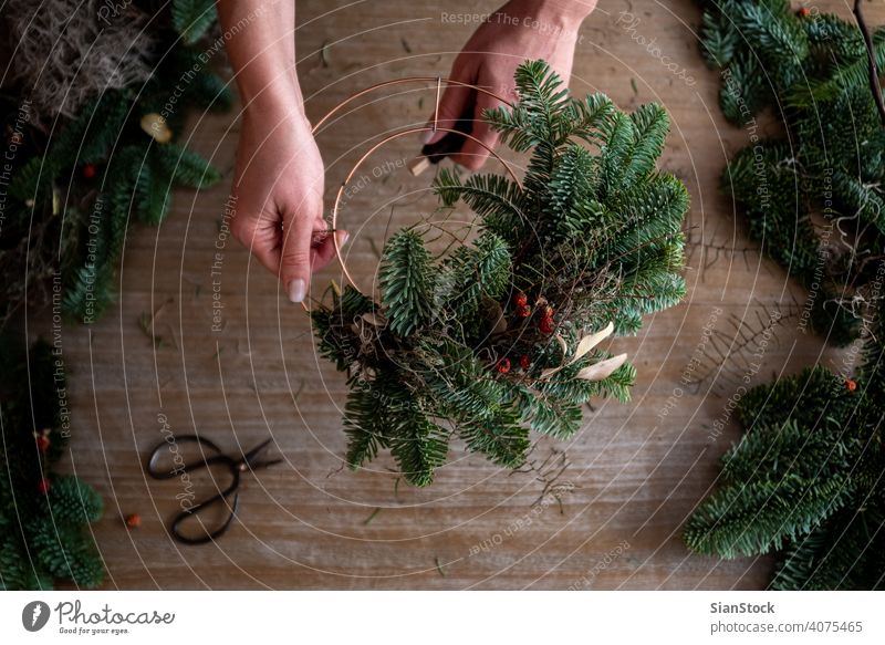 Woman making a Christmas crown from winters leaves outdoor leaf nature hand cristmas woman flower cornet fresh midsummer festival garden june religion wreath