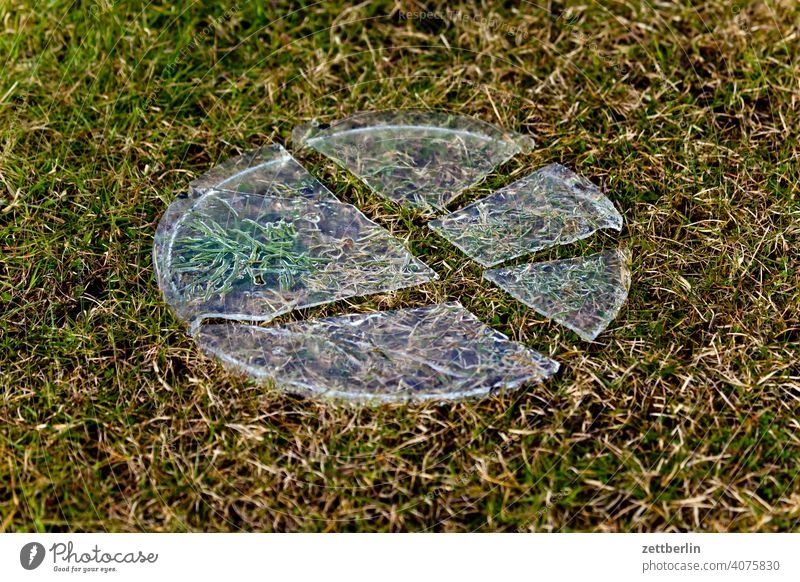 disc-shaped ice Relaxation awakening spring Spring spring awakening Garden allotment Garden allotments Deserted Nature tranquillity Holiday season Garden plot