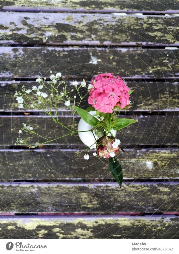 Vase with decorative blossom in pink on an old wooden table in summer sunshine in a café in Bielefeld in the Teutoburg Forest in East Westphalia-Lippe Flower