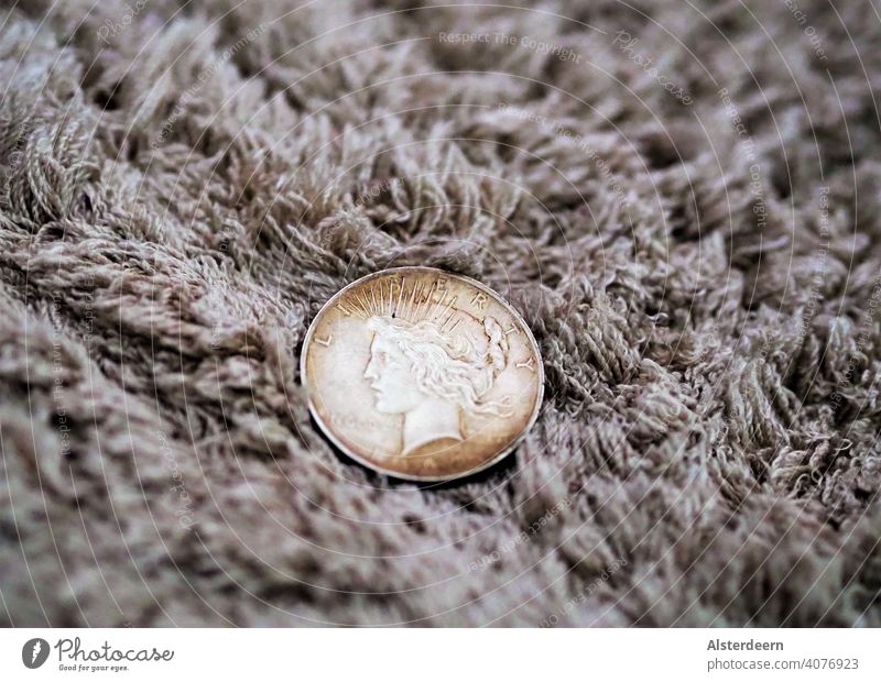 American one dollar Liberty coin on fluffy background in sepia color tone liberty Statue of liberty Head Woman Woman`s head rays Freedom Dollar coin Miss Sepia