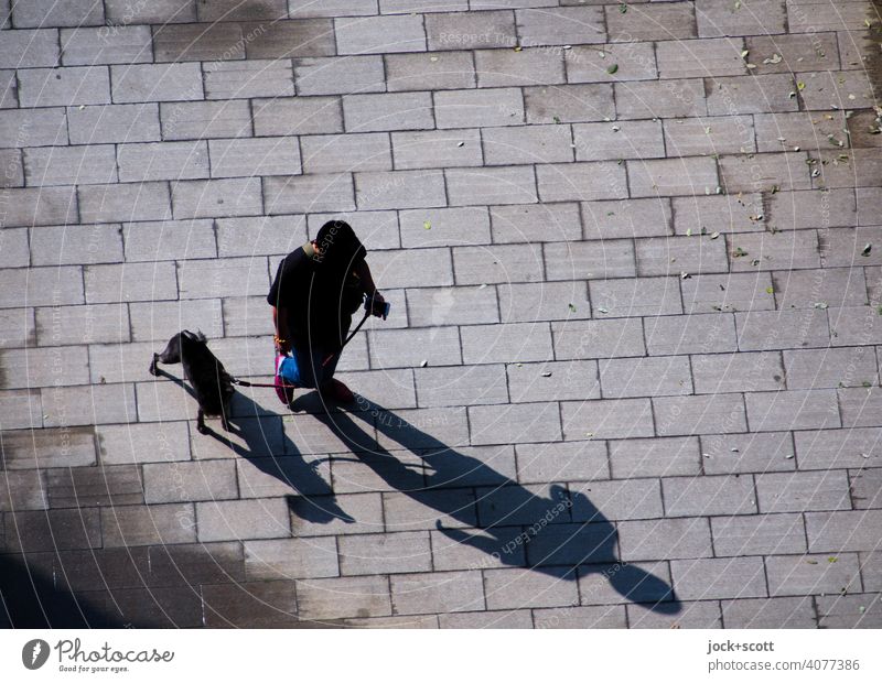 relaxed with the dog from the walk back again Walk the dog Human being Dog leash Bird's-eye view plan Shadow play Pet Paving stone Silhouette Serene