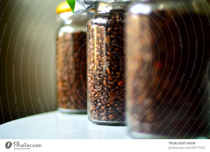 Three cylindrically shaped containers of transparent glass are filled with fresh coffee beans and stand diagonally arranged on a white table against a grey background