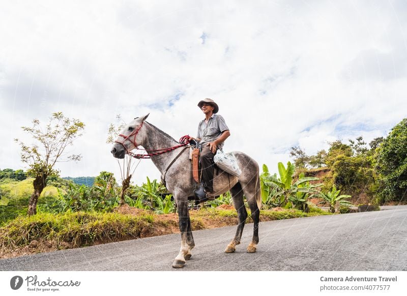 Farmer Man Riding Horse man adult portrait horse livestock agricultural agriculture animal animals background barn country countryside crop cultivation