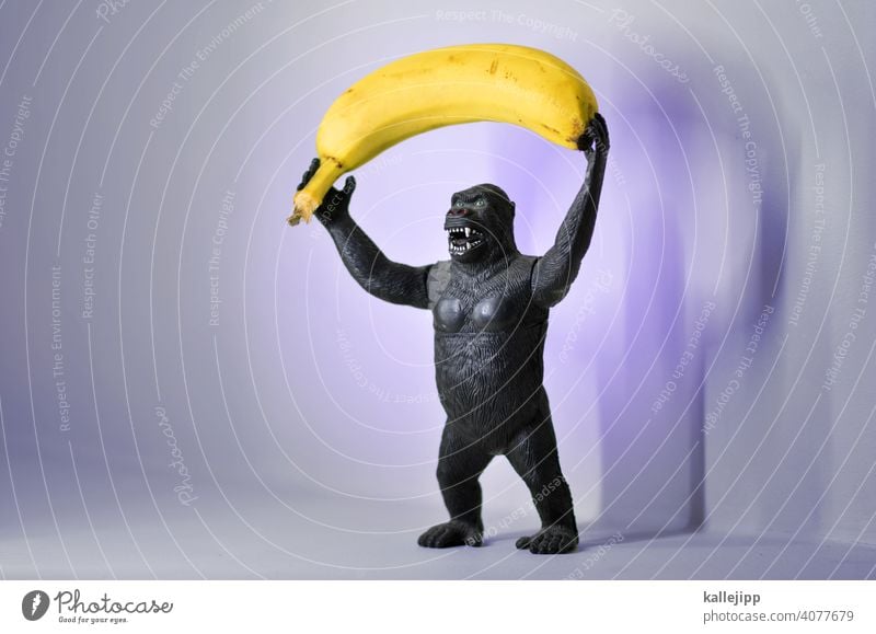 banana republic Gorilla Monkeys Animal Colour photo 1 Mammal Apes Black Virgin forest Wild Africa Pelt animal world Toys plastic Monster Nature Banana