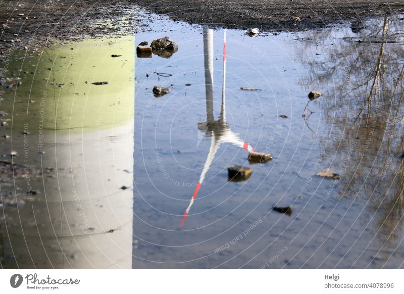 Wind turbines mirrored in a puddle Wind energy plant Pinwheel Power Generation reflection Puddle stones Tree Beautiful weather Renewable energy