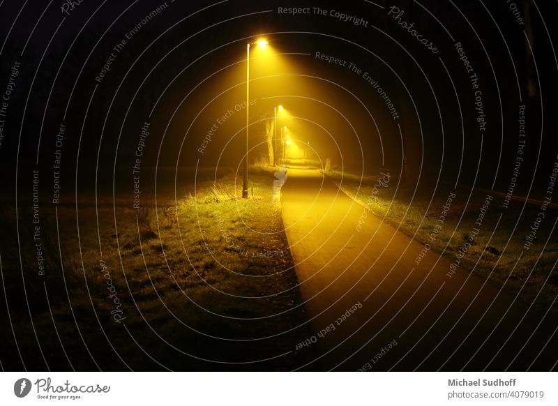 An energy-efficient,LED,infinite-looking,yellow-lit bike path next to a federal highway at night. cycle path Night Yellow Light Street street lamps Modern New