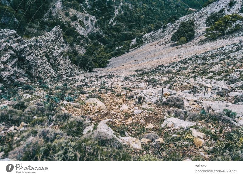 cloudy day with fog in the mountains of the natural park of the ports, in tarragona (spain) eroded layered canyon nature outdoors travel destinations descent