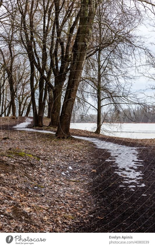 Vertical photo of frozen pathway in the park between trees near frozen river during early spring when all are still grey, but snow is smelted. ice-covered