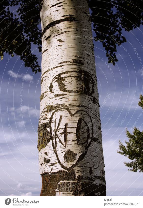 Birch love forever Birch tree Tree trunk bark Nature Exterior shot Deserted Day Colour photo Heart Love Tree bark Letters (alphabet) initial engraved