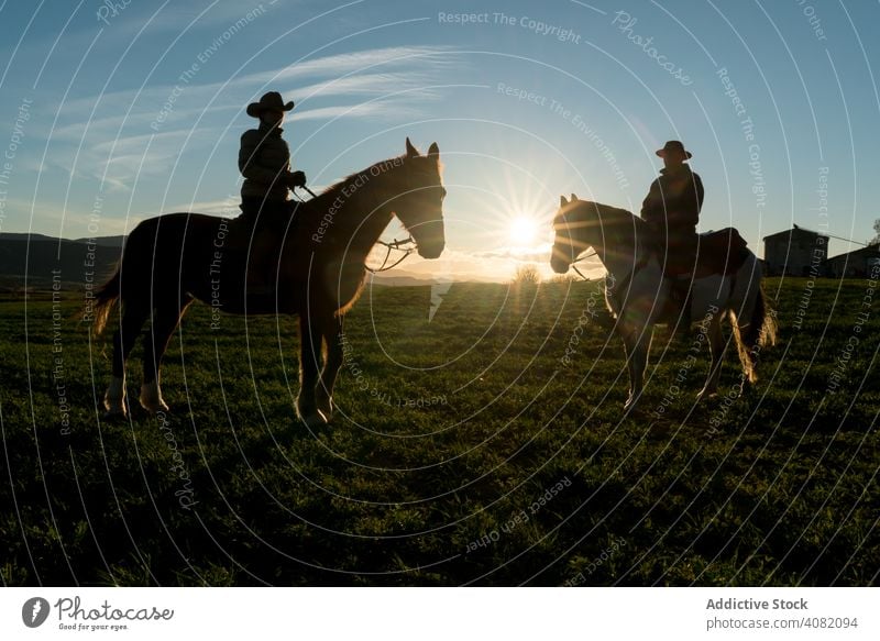 People riding horses people ranch sunset sky evening man woman gesture sport horseback equestrian lifestyle leisure recreation domestic fun animal creature joy