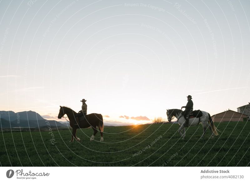 Man and woman riding horses beautiful joy fun professional recreation countryside farm dusk activity ranch lifestyle back view horizontal sunset horseback