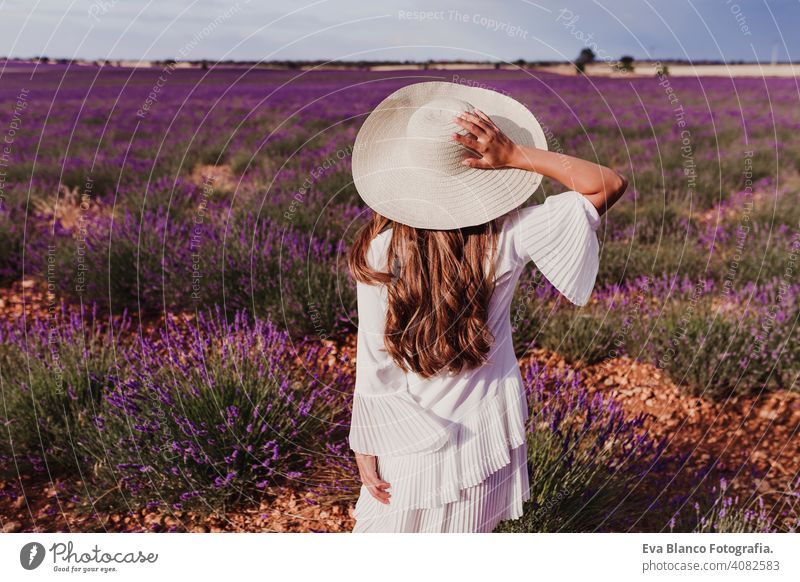 charming Young woman with a hat and white dress in a purple lavender field at sunset. LIfestyle outdoors. Back view meadow beauty joy leisure freedom farm