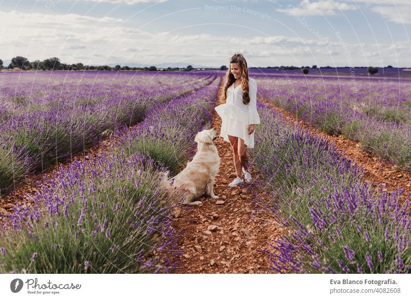 beautiful woman with her golden retriever dog in lavender fields at sunset. Pets outdoors and lifestyle meadow beauty leisure freedom dress care smile summer