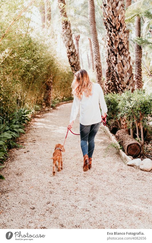 young woman walking with her cute puppy of cocker spaniel outdoors dog pet park sunny love hug smile back view kiss breed purebred beautiful blonde brown