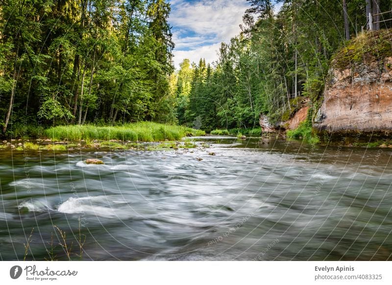 Stream of water is flowing in Amatas River between yellow sandstone outcrops and green forest during sunny summer morning at Latvia stream flowing water sky