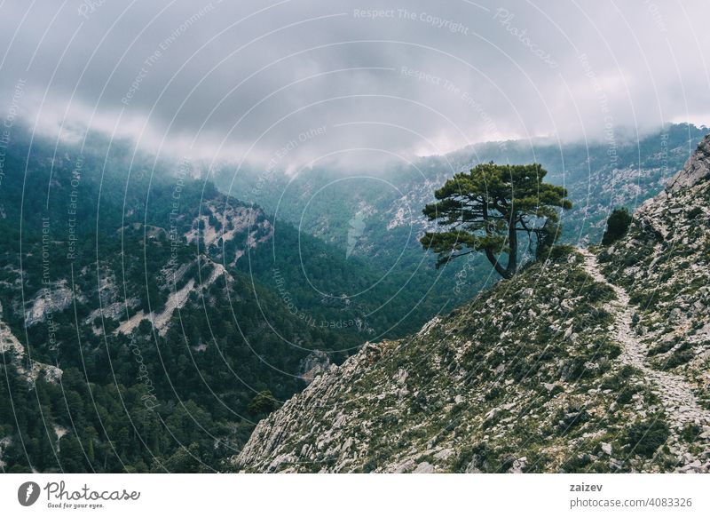 cloudy day with fog in the mountains of the natural park of the ports, in tarragona (spain) eroded layered canyon nature outdoors travel destinations descent