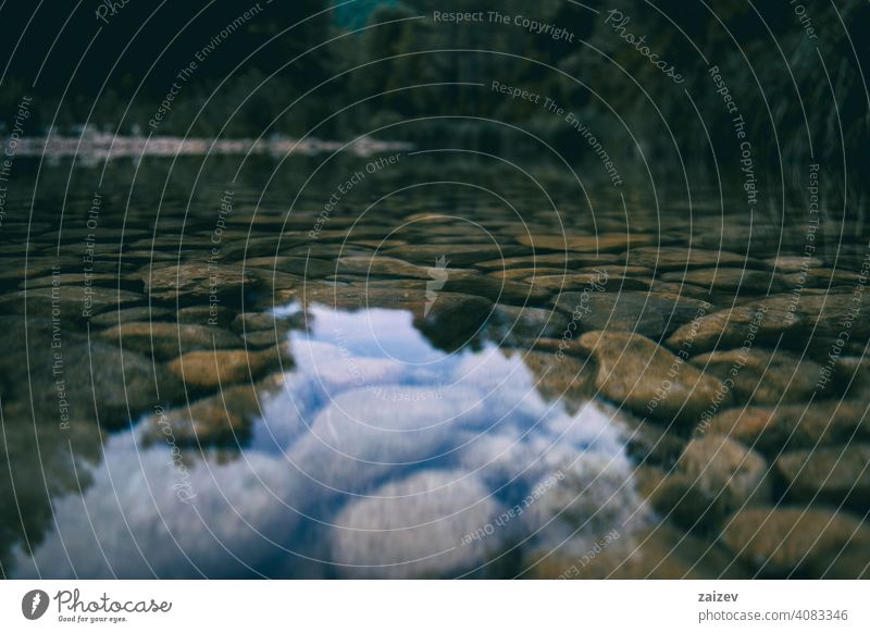 calm stream with many stones on the path diversity rippled serenity tranquility vivid balance equilibrium relaxation stability flow pebble flowing abstract wet