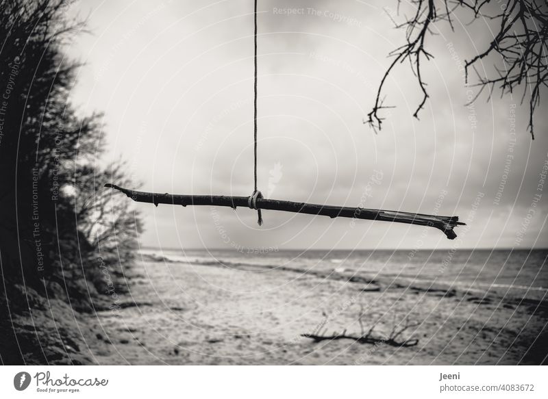 Just hang out on the beach today | suicide | suicide Baltic Sea Rain Rope Branch Hang Beach Ocean coast Sky Landscape Water Clouds Grief Sadness Cold rainy Gale