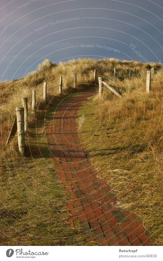 Way to the dunes Evening sun Dusk Lanes & trails Beach dune North Sea To go for a walk