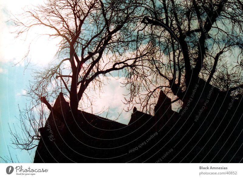 In front of the building stands a tree Clouds Tree Building Torun Vacation & Travel Architecture Sky Blue Branch Poland