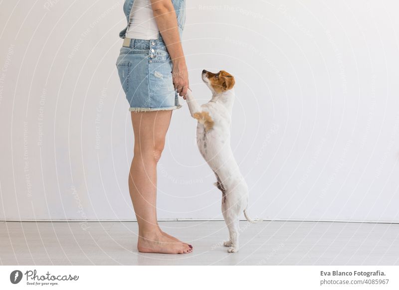 Beautiful young woman playing with her little cute dog at home. Lifestyle portrait. Love for animals concept. white background. pet happy beautiful puppy