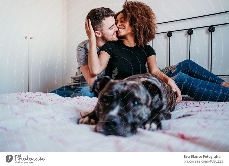 happy couple in love at home. Afro american woman, caucasian man and their pit bull dog together. Family concept afro american ethnic bed indoors valentine