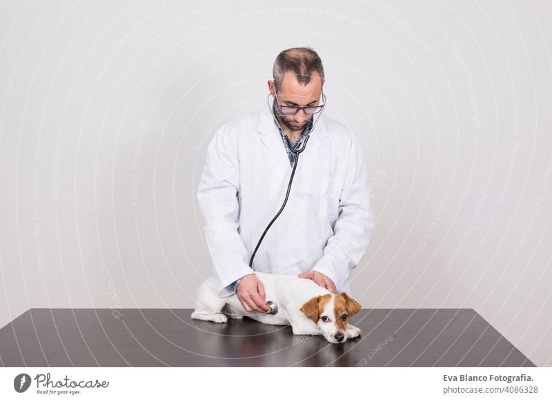 young veterinarian man examining a cute small dog by using stethoscope, isolated on white background. Indoors medicine owner male clinic happiness analysis