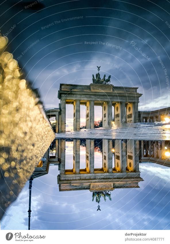 Brandenburger Tor in der Reflektion einer Pfütze IV Central perspective Reflection Shadow Copy Space top Twilight Artificial light Light Copy Space right