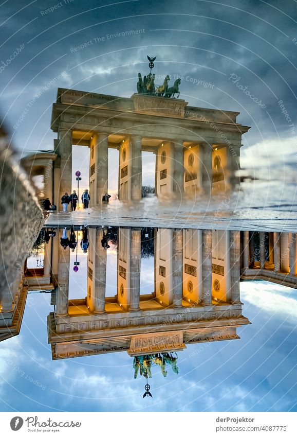 Brandenburger Tor in der Reflektion einer Pfütze I Central perspective Reflection Shadow Copy Space top Twilight Artificial light Light Copy Space right