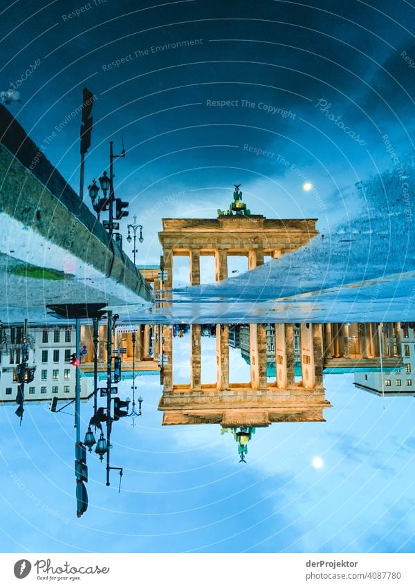 Brandenburger Tor in der Reflektion einer Pfütze II Central perspective Reflection Shadow Copy Space top Twilight Artificial light Light Copy Space right