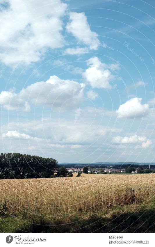 Grain field with view to Asemissen near Bielefeld in Leopoldshöhe with light blue sky and white clouds at the Teutoburg Forest in East Westphalia-Lippe Field