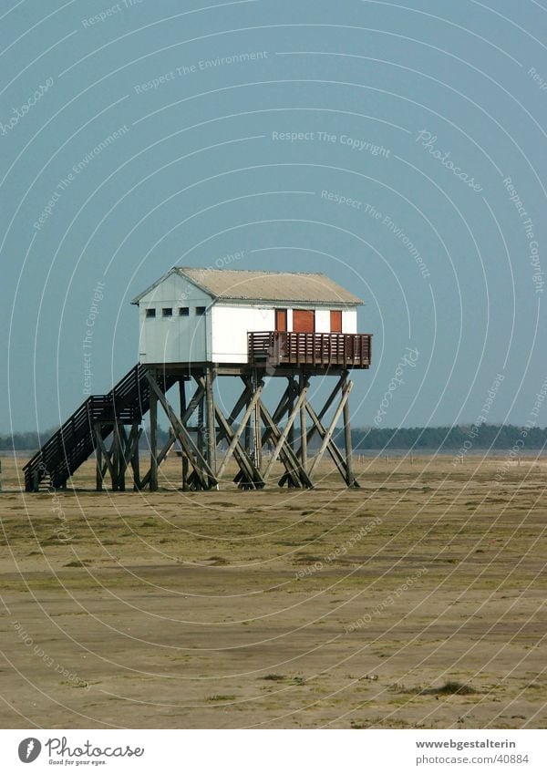 Beach WC Ocean Mud flats Lugworms Europe North Sea Water Wind Weather