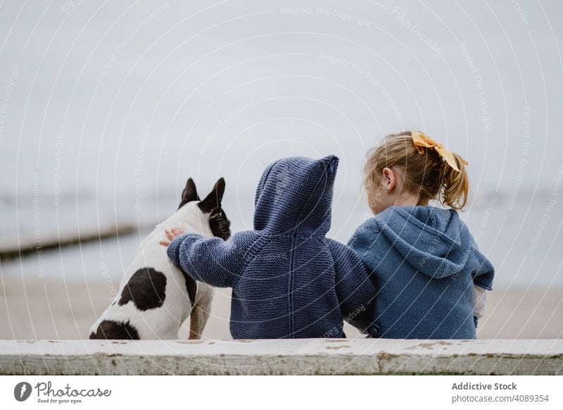 Kids hugging dog on beach kids friendship love pet sea sitting obedient baby french bulldog casual children lifestyle leisure embracing rest relax puppy loyal