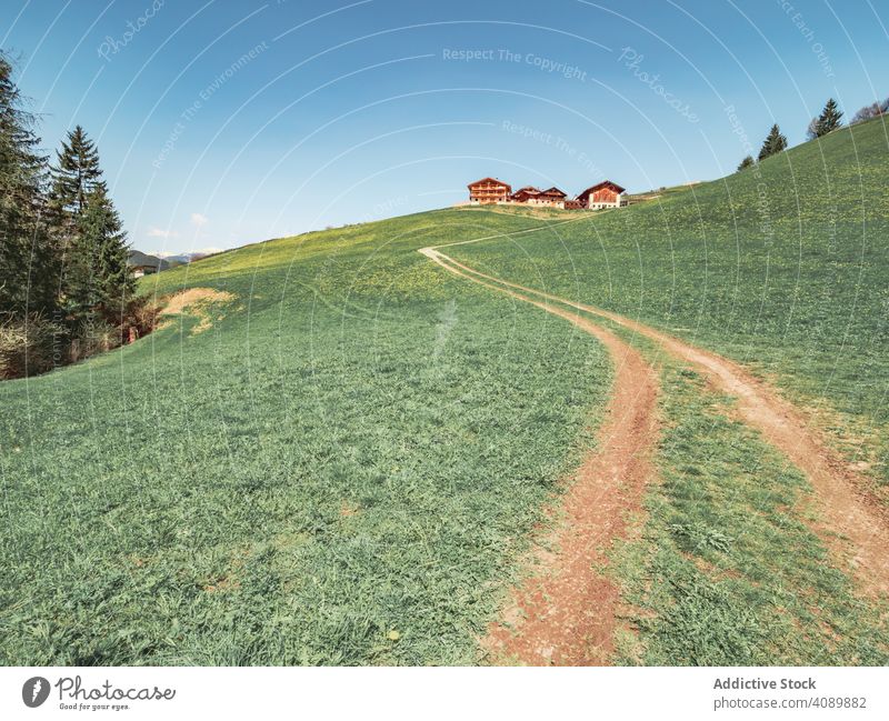 Countryside road running between green field near forest to small village countryside spain route plant fir tree sky narrow blue leading wood season summer