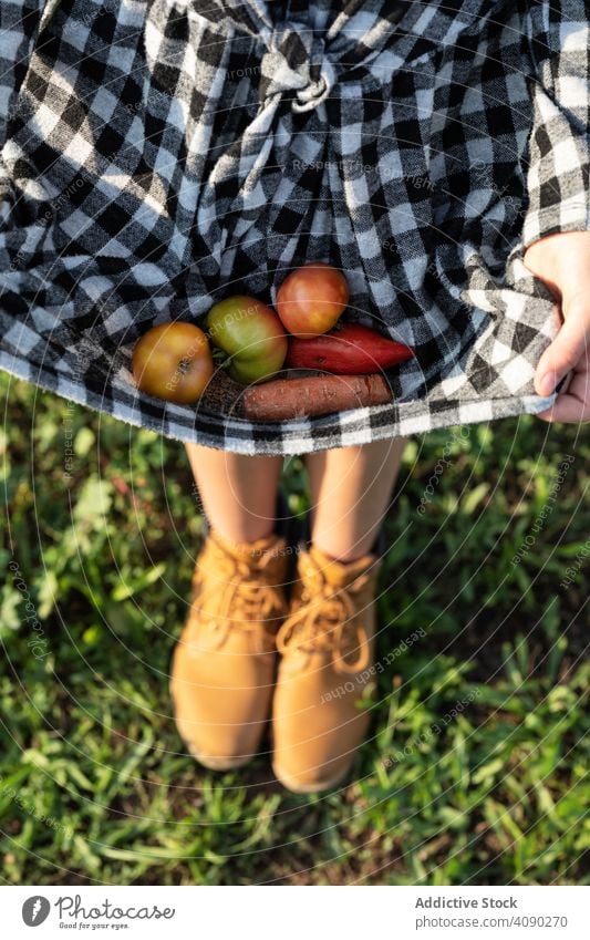 Young female holding vegetables in summer dress woman nature food field meadow countryside rural lifestyle agriculture farm grass young beautiful attractive