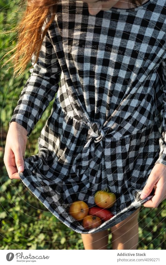 Young female holding vegetables in summer dress woman nature food field meadow countryside rural lifestyle agriculture farm grass young beautiful attractive