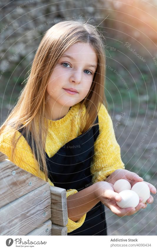 Girl taking eggs from chicken nest girl farm raw fresh countryside help kid child chores household agriculture cute pretty fragile barn poultry season little