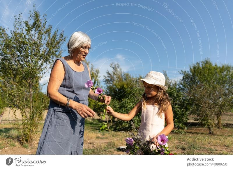 Grandmother and granddaughter picking flowers in garden grandmother together farm family sunny daytime woman kid child elderly senior mature retired pensioner