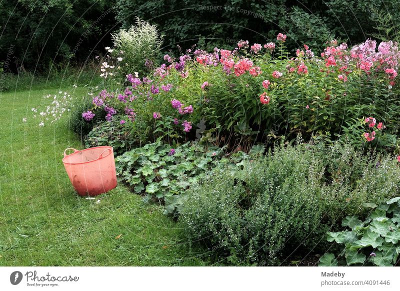 Farm garden with many colorful summer flowers and red plastic garden basket in summer in Rudersau near Rottenbuch in the district Weilheim-Schongau in Upper Bavaria