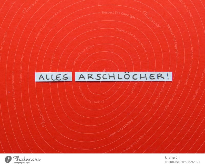 They're all assholes! Anger Rant Aggression Argument Grouchy Aggravation Emotions Colour photo Frustration Animosity Moody Curse outburst of fury Communicate