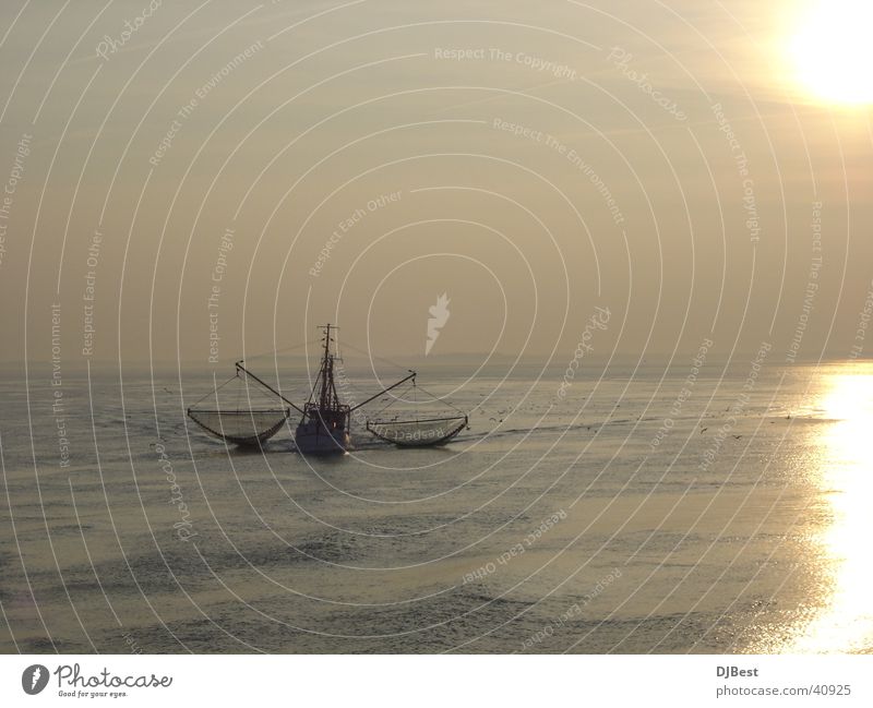 fishing cutter Fohr Winter Sunset Europe