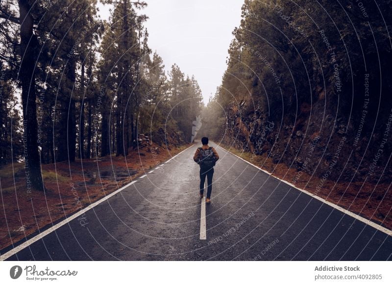 Traveler walking on empty road in woods traveler forest backpack landscape hiking solitude mist hiker spain tenerife roadway calm tranquil picturesque peace