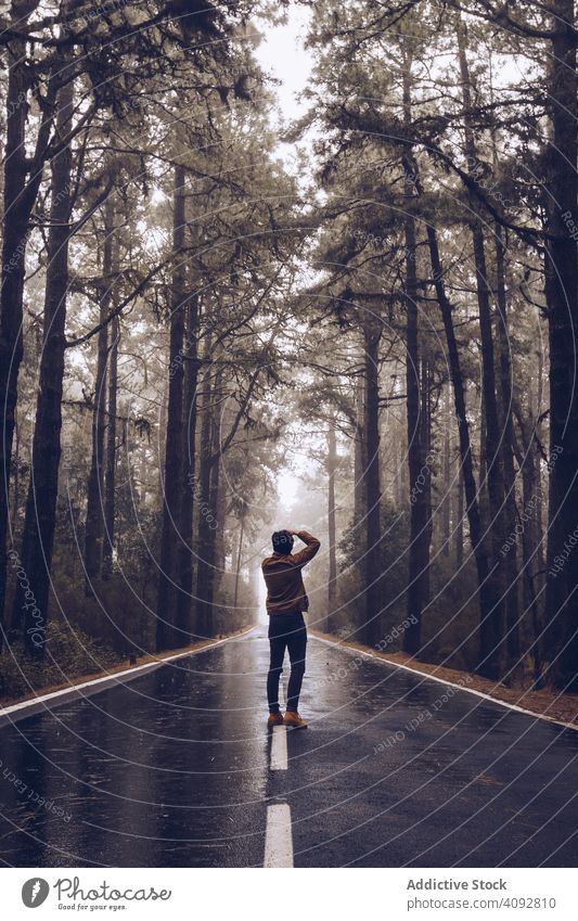 Traveler walking on empty road in woods photographer taking photo traveler forest backpack landscape hiking solitude mist hiker spain tenerife roadway calm