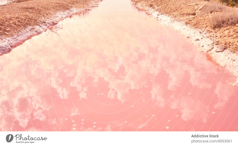 Salty pink water on seashore salt formation natural summer beach mineral red lagoon marine coast nature exotic scenic basin coastline vacation environment