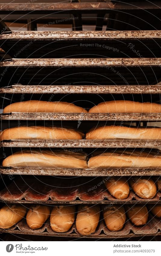 Shelves with fresh bread and buns bakery rack tray shelf pastry food loaf tasty delicious yummy crust many set quality small business preparation gourmet baked