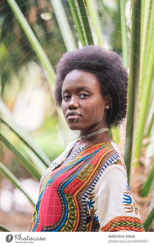 Cheerful African lady amidst palm leaves woman african leaf traditional colorful joy female relax ethnic black glad delighted optimistic pleasure rest beautiful