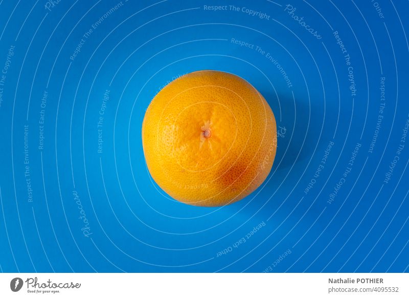 Top view yellow grapefruit on blue background pomelos citrus pamplemousses Fruit Colour photo Food Nutrition Delicious Vitamin Juicy Fresh Healthy