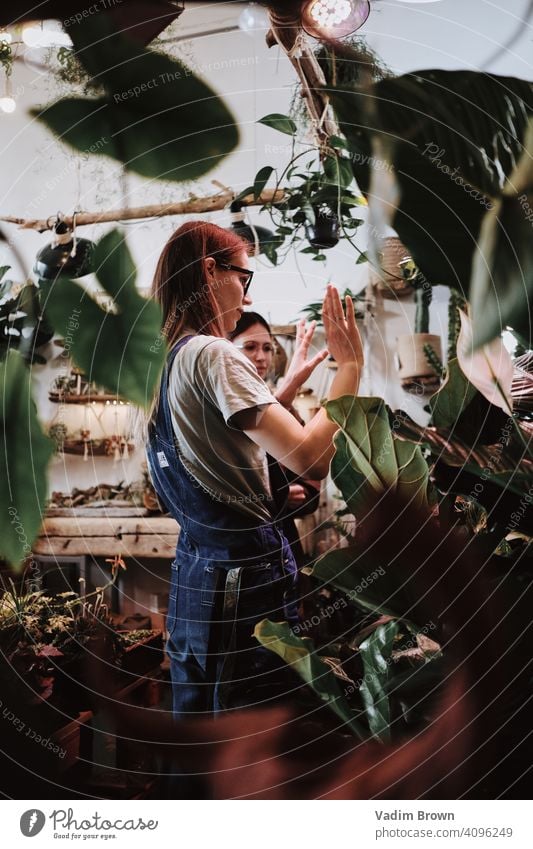 Girl with a lot of plants Plant Colour photo Day Pot plant Houseplant Green Nature Succulent plants Decoration leaves Botany Garden botanical