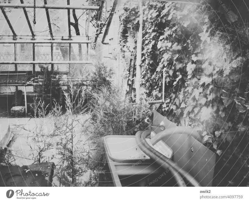 Old nursery Interior shot lost places Derelict Market garden Greenhouse Sink Hose Past Decline Plastic Metal Glass Transience abandoned Loneliness Insolvency